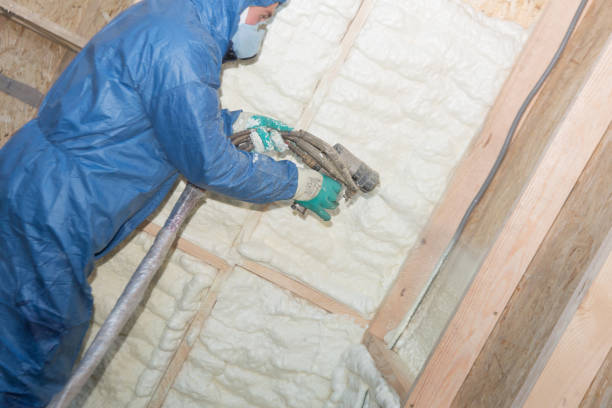 Best Eco-Friendly or Green Insulation Solutions  in Coopersville, MI